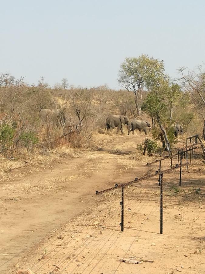 Ngalas Rest 101 Hectorspruit Esterno foto